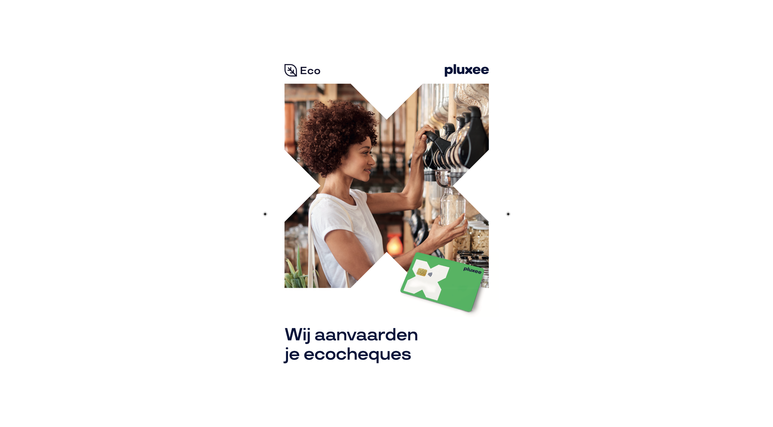 ecocheques waar te gebruiken